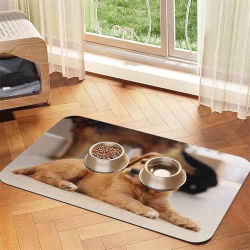 Cocker Spaniel Welpe Kleiner Spaniel Hunde Haustiere,Futtermatte für Haustiere, Tischsets aus PU-Leder für Katzen und Hunde,40x60cm Cocker Spaniel Welpe Kleiner Spaniel Hunde Haustiere,Futtermatte für Haustiere, Tischsets aus PU-Leder für Katzen und Hunde,40x60cm von InOmak