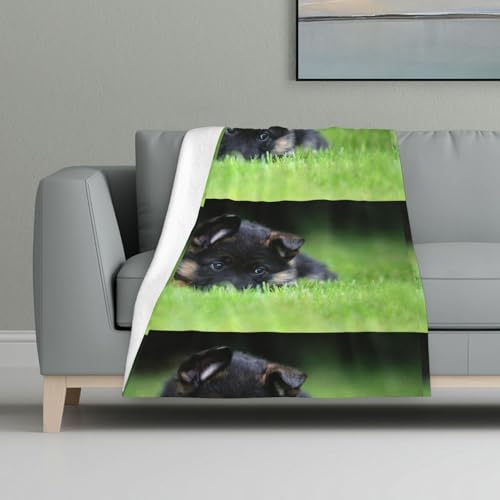 Deutscher Schäferhund Welpen Haustiere Rasen Bokeh Hunde,Decke, warme Anti-Pilling-Flanell-Plüsch-Überwurfdecke, 81 x 122 cm von InOmak