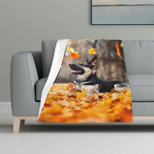 Deutscher Schäferhund und fallende Blätter,Decke, warme Anti-Pilling-Flanell-Plüsch-Überwurfdecke, 81 x 122 cm Deutscher Schäferhund und fallende Blätter,Decke, warme Anti-Pilling-Flanell-Plüsch-Überwurfdecke, 81 x 122 cm von InOmak