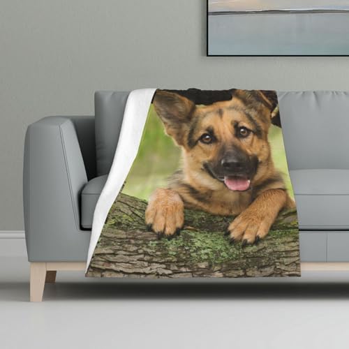 Deutscher Schäferhundbaum,Decke, warme Anti-Pilling-Flanell-Plüsch-Überwurfdecke, 81 x 122 cm Deutscher Schäferhundbaum,Decke, warme Anti-Pilling-Flanell-Plüsch-Überwurfdecke, 81 x 122 cm von InOmak