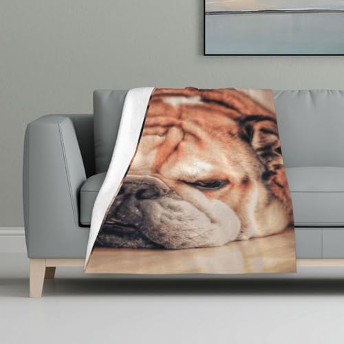 Englische Bulldogge,Decke, warme Anti-Pilling-Flanell-Plüsch-Überwurfdecke, 81 x 122 cm Englische Bulldogge,Decke, warme Anti-Pilling-Flanell-Plüsch-Überwurfdecke, 81 x 122 cm von InOmak