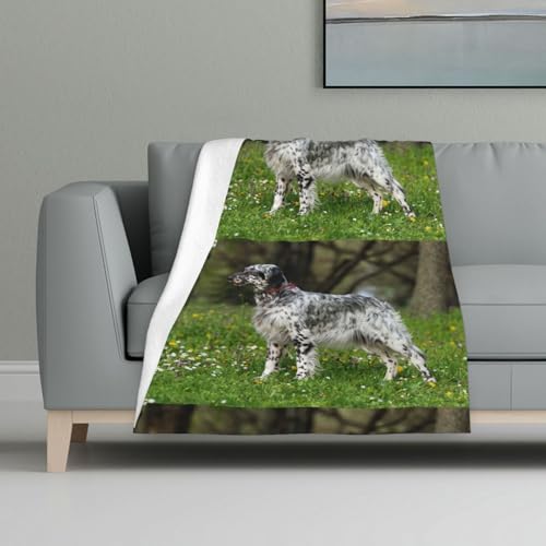 English Setter Rasen Haustiere Hunde English Setter,Decke, warme Anti-Pilling-Flanell-Plüsch-Überwurfdecke, 81 x 122 cm von InOmak