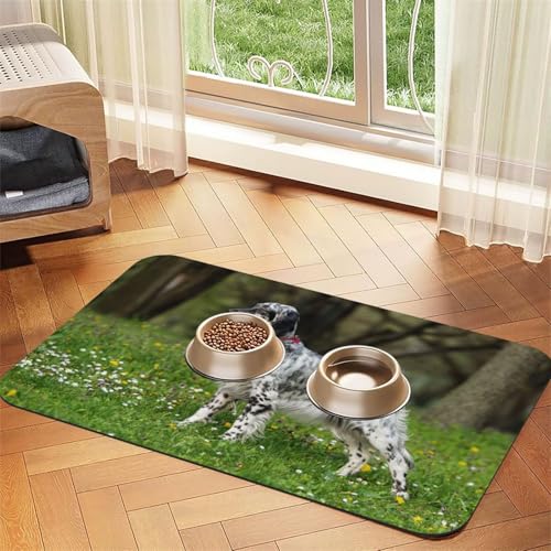 English Setter Rasen Haustiere Hunde English Setter,Futtermatte für Haustiere, Tischsets aus PU-Leder für Katzen und Hunde,30x45cm English Setter Rasen Haustiere Hunde English Setter,Futtermatte für Haustiere, Tischsets aus PU-Leder für Katzen und Hunde,30x45cm von InOmak