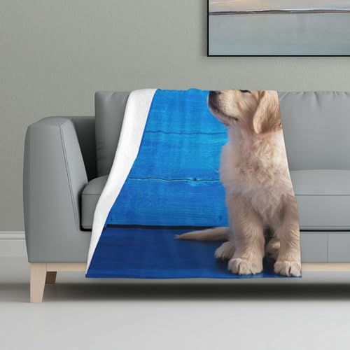 Golden Retriever Welpe,Decke, warme Anti-Pilling-Flanell-Plüsch-Überwurfdecke, 81 x 122 cm Golden Retriever Welpe,Decke, warme Anti-Pilling-Flanell-Plüsch-Überwurfdecke, 81 x 122 cm von InOmak