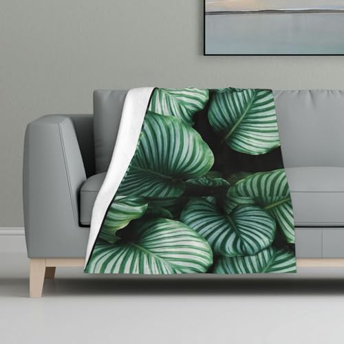 Grüne Tropische Pflanzenblätter gedruckt,Decke, warme Anti-Pilling-Flanell-Plüsch-Überwurfdecke, 81 x 122 cm Grüne Tropische Pflanzenblätter gedruckt,Decke, warme Anti-Pilling-Flanell-Plüsch-Überwurfdecke, 81 x 122 cm von InOmak