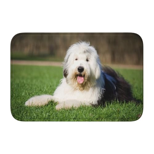 InOmak Bobtail Hund,Soft Saummatte Fußmatte Badematte rutschfeste Bodenmatte saugfähige Badezimmerunterlage 40x60 cm von InOmak