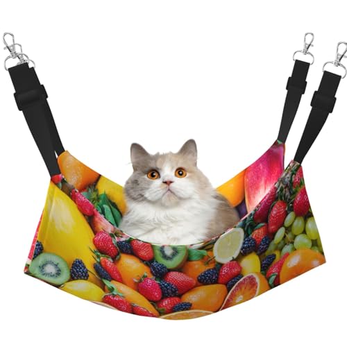 InOmak Frisches Obst, Katzenhängematte, weiches, doppelseitiges Hängebett für kleine Hunde und Haustiere,L InOmak Frisches Obst, Katzenhängematte, weiches, doppelseitiges Hängebett für kleine Hunde und Haustiere,L von InOmak