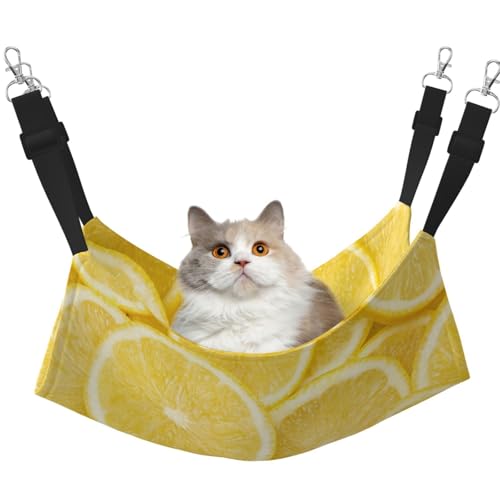 InOmak Gelbe Zitrone Bedruckt, Katzenhängematte, weiches, doppelseitiges Hängebett für kleine Hunde und Haustiere,L InOmak Gelbe Zitrone Bedruckt, Katzenhängematte, weiches, doppelseitiges Hängebett für kleine Hunde und Haustiere,L von InOmak
