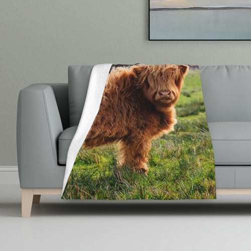 Lustige Hochlandkuh,Decke, warme Anti-Pilling-Flanell-Plüsch-Überwurfdecke, 81 x 122 cm Lustige Hochlandkuh,Decke, warme Anti-Pilling-Flanell-Plüsch-Überwurfdecke, 81 x 122 cm von InOmak
