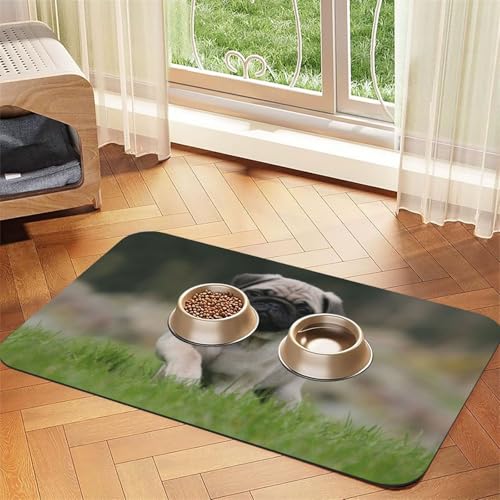 Mops Bokeh Welpen Hunde Rasen Haustiere Mops，Futtermatte für Haustiere, Tischsets aus PU-Leder für Katzen und Hunde,30x45cm von InOmak