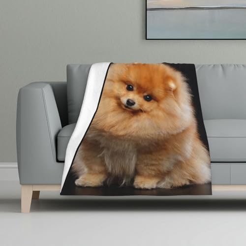Pomeranian Hund Welpe süß,Decke, warme Anti-Pilling-Flanell-Plüsch-Überwurfdecke, 81 x 122 cm Pomeranian Hund Welpe süß,Decke, warme Anti-Pilling-Flanell-Plüsch-Überwurfdecke, 81 x 122 cm von InOmak