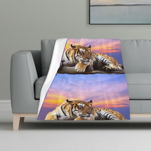 Relax Tiger,Decke, warme Anti-Pilling-Flanell-Plüsch-Überwurfdecke, 81 x 122 cm von InOmak