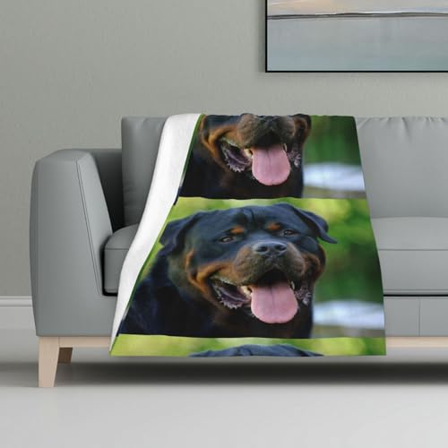 Rottweiler,Decke, warme Anti-Pilling-Flanell-Plüsch-Überwurfdecke, 81 x 122 cm Rottweiler,Decke, warme Anti-Pilling-Flanell-Plüsch-Überwurfdecke, 81 x 122 cm von InOmak