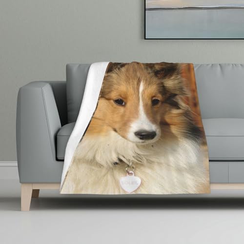 Schöner Sheltie-Hund,Decke, warme Anti-Pilling-Flanell-Plüsch-Überwurfdecke, 81 x 122 cm Schöner Sheltie-Hund,Decke, warme Anti-Pilling-Flanell-Plüsch-Überwurfdecke, 81 x 122 cm von InOmak