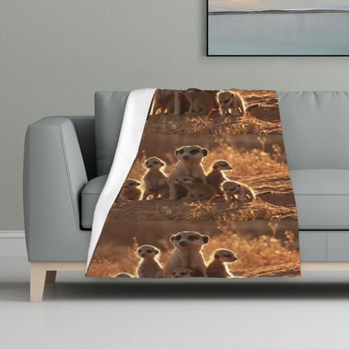 Süße Erdmännchen,Decke, warme Anti-Pilling-Flanell-Plüsch-Überwurfdecke, 81 x 122 cm Süße Erdmännchen,Decke, warme Anti-Pilling-Flanell-Plüsch-Überwurfdecke, 81 x 122 cm von InOmak