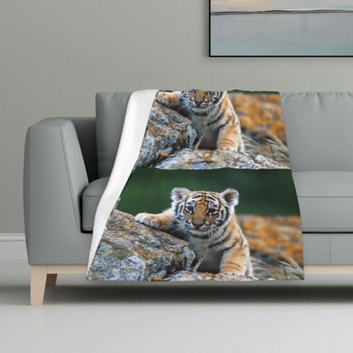 Süßer Tiger,Decke, warme Anti-Pilling-Flanell-Plüsch-Überwurfdecke, 81 x 122 cm von InOmak