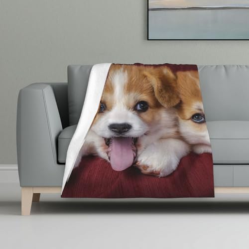 Walisischer Corgi-Hund,Decke, warme Anti-Pilling-Flanell-Plüsch-Überwurfdecke, 81 x 122 cm Walisischer Corgi-Hund,Decke, warme Anti-Pilling-Flanell-Plüsch-Überwurfdecke, 81 x 122 cm von InOmak