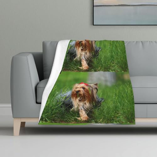 Yorkshire Terrier Rasen süße Hunde Sommer rote Schleife,Decke, warme Anti-Pilling-Flanell-Plüsch-Überwurfdecke, 81 x 122 cm von InOmak