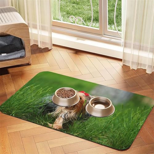 Yorkshire Terrier Rasen süße Hunde Sommer rote Schleife,Futtermatte für Haustiere, Tischsets aus PU-Leder für Katzen und Hunde,40x60cm Yorkshire Terrier Rasen süße Hunde Sommer rote Schleife,Futtermatte für Haustiere, Tischsets aus PU-Leder für Katzen und Hunde,40x60cm von InOmak
