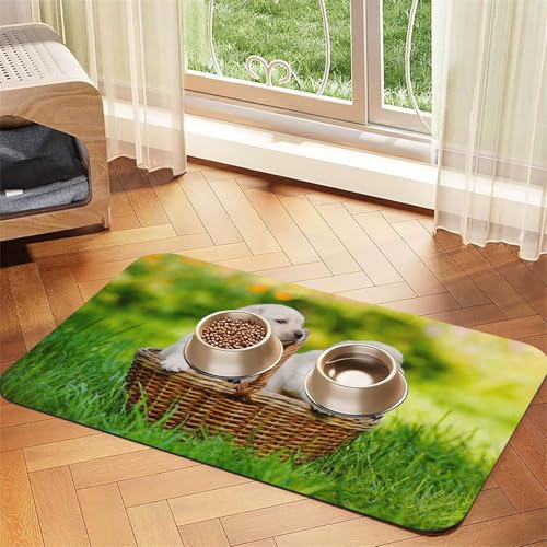 Zwei Hunde in einem Korb gedruckt，Futtermatte für Haustiere, Tischsets aus PU-Leder für Katzen und Hunde,30x45cm von InOmak