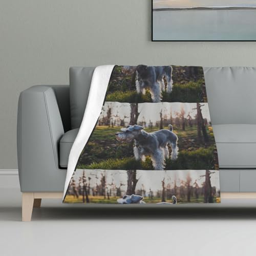 Zwergschnauzer Rasen Haustiere Graue Hunde,Decke, warme Anti-Pilling-Flanell-Plüsch-Überwurfdecke, 81 x 122 cm von InOmak
