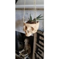 Schädel Hängen Pflanzer Für Innen Oder Im Freien Saftig Kleine Pflanze Halloween Dekor Skelett Beängstigend Geist Topf Gehirn von Inceptualize3D