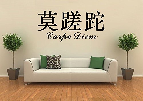 Wandtattoo wandaufkleber Aufkleber Wandsticker wall sticker Wohnzimmer Schlafzimmer Kinderzimmer 30 Farben zur Wahl Wandtext Wandwort Wandspruch spruch Zitat CARPE DIEM Chinesische Zeichen wzt22(010 weiss, Größe1:ca.60x24cm ) von Inconnu