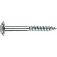 Box mit 100 - Unverletzbare Schrauben - Torx-Muster - Verzinkt 6 x 40 mm von Index