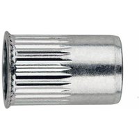 Crimpmutter Kopf reduziert - Verzinkt M8 x 15 - Packung mit 250 Crimpmutter Kopf reduziert - Verzinkt M8 x 15 - Packung mit 250 von Index