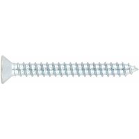 Selbstbohrschrauben - Gewindeschrauben für Blech und PVC - Senkkopf - PH-Antrieb - Verzinkt 4,8 x 25 - Packung mit 250 Selbstbohrschrauben - Gewindeschrauben für Blech und PVC - Senkkopf - PH-Antrieb - Verzinkt 4,8 x 25 - Packung mit 250 von Index