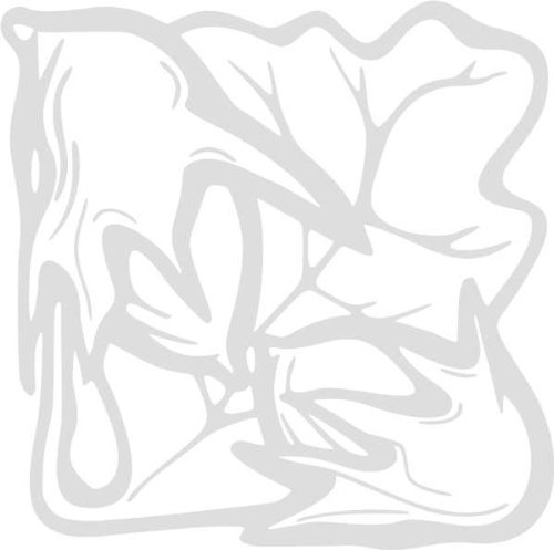 INDIGOS/Wandaufkleber-e60 schönes Blätterwerk Blatt Blüte Blumen Pflanzen Ranke 40x40 cm- Silber, Vinyl, 40 x 40 x 1 cm von INDIGOS