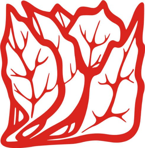 Indigos Wandaufkleber-e89 hübsches Blättergewirr, Vinyl, rot, 40 x 39 x 1 cm von Indigos