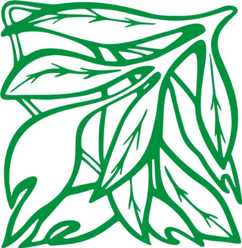 INDIGOS Wandaufkleber-e98 wunderschöne Blätter, Vinyl, grün, 120 x 117 x 1 cm von INDIGOS
