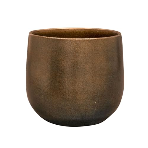 Indoor-Helden Blumentopf Esra Ø 18 cm Höhe 16 cm, handgefertigter Übertopf Champagne, Übertöpfe für Zimmerpflanzen, Pflanzentopf, Keramik-Pflanzgefäß Indoor-Helden Blumentopf Esra Ø 18 cm Höhe 16 cm, handgefertigter Übertopf Champagne, Übertöpfe für Zimmerpflanzen, Pflanzentopf, Keramik-Pflanzgefäß von Indoor-Helden