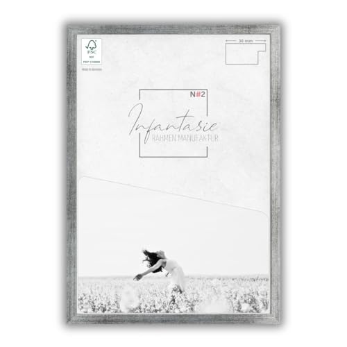 Infantasie 'N°2' Bilderrahmen 25x32 handgefertigt nach Maß | Silber gebürstet | MDF Holz-Design Collage Rahmen inkl. Kunstglas und Metall Aufhänger (Querformat & Hochformat) von Infantasie