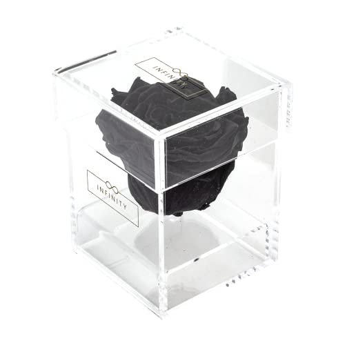 Infinity Acrylbox - 1 Echte Infinity Rose, die 1-3 Jahre hält ohne Wasser | Acrylbox mit Schwarzer haltbarer Rose - Mit Geschenkverpackung für sie von Infinity Flowerbox
