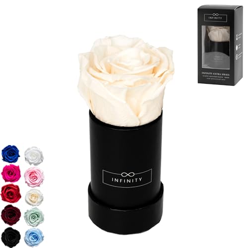 Infinity Flowerbox - 1 echte Infinity Rosen (3 Jahre haltbar ohne Wasser) - Direkt mit Geschenkverpackung geliefert I Handgefertigt in Berlin I Geschenk für Frauen (Beige Rose in schwarzer Box) von Infinity Flowerbox
