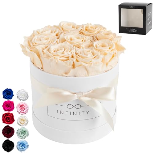 Infinity Flowerbox 2-BW-CH Geschenkartikel, Champagne, Medium von Infinity Flowerbox