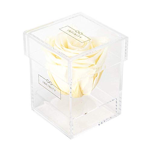 Infinity Flowerbox 4-BA-CH Acryl Champagne von Infinity Flowerbox