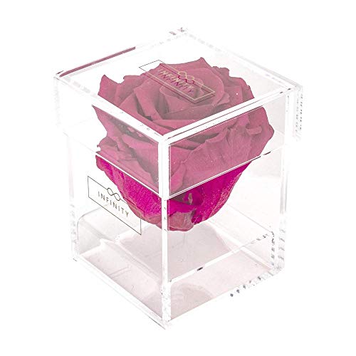 Infinity Flowerbox 4-BA-HP Acryl Hot Pink von Infinity Flowerbox