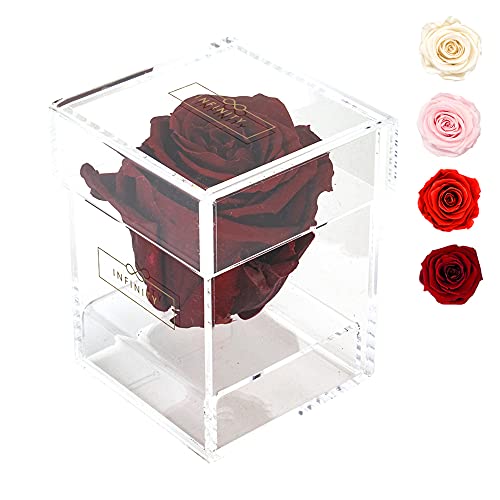 Infinity Flowerbox - Echte Infinity Rosen die 1-3 Jahre halten ohne Wasser edler Rosenbox | Acrylbox mit Weinroter haltbarer Rose, Burgundy, Twin von Infinity Flowerbox