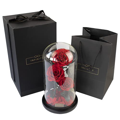 Infinity Flowerbox - Dome Rose XXL in Rot - 3 echte konservierte Rosen im Glas, wie bei die Schöne und das Biest - Geschenk zum Valentinstag von Infinity Flowerbox