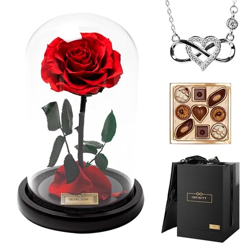 Infinity Flowerbox - Dome Rose im Glas inkl. Geschenkbox - 3 Jahre haltbare echte Infinity Rose, wie bei Die Schöne und das Biest, als Geschenk für Frauen mit Geschenkbox & Tüte (Set-Silber, Dome) von Infinity Flowerbox