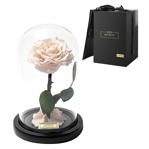 Infinity Flowerbox - Dome Rose in Rosa - 3 echte Infinity Rosen im Glas, wie bei 'Die Schöne und das Biest' - Geschenk zum Jahrestag von Infinity Flowerbox