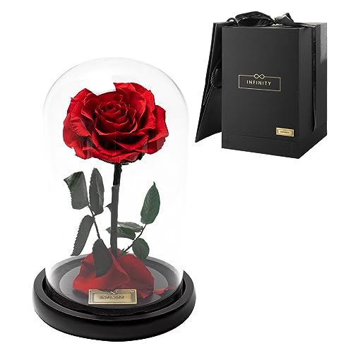 Infinity Flowerbox - Dome Rose im Glas inkl. Geschenkbox - 3 Jahre haltbare echte Infinity Rose, wie bei Die Schöne und das Biest, als Geschenk für Frauen mit Geschenkbox & Tüte (Vibrant Red, Dome) von Infinity Flowerbox