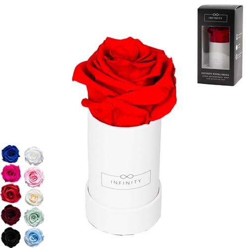 Infinity Flowerbox - 1 echte Infinity Rosen (3 Jahre haltbar ohne Wasser) - Direkt mit Geschenkverpackung geliefert I Handgefertigt in Berlin I Geschenk für Frauen (Rote Rose in weißer Box) von Infinity Flowerbox