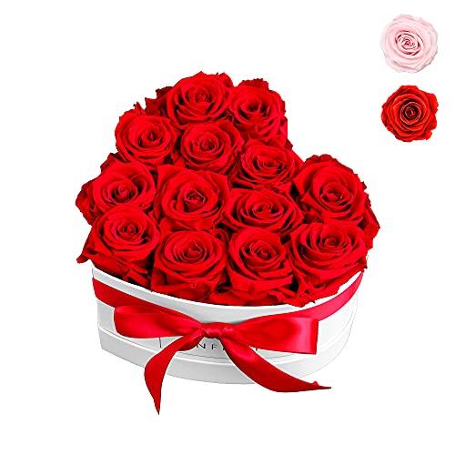 Infinity Flowerbox Herz - 13 echte Premiumrosen in Rot - 3 Jahre haltbar ohne gießen | Das perfekte Geschenk von Infinity Flowerbox