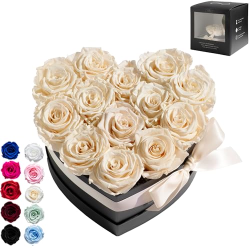 Infinity Flowerbox Large Herz - 13 echte Premiumrosen in Champagne - 3 Jahre haltbar ohne gießen | In Geschenkverpackung mit Satinschleife von Infinity Flowerbox