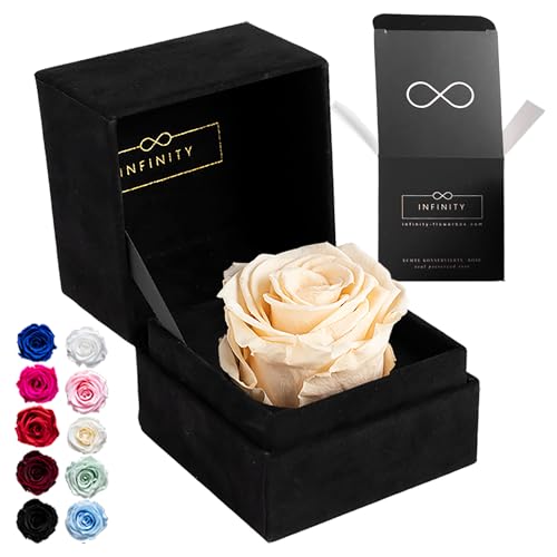 Infinity Flowerbox - 1 Echte Ewige Rose in aufklappbarer Rosenbox (3 Jahre haltbare konservierte Rose). Direkt in Geschenkbox als edles Geschenk für Frauen (Velvet, Beige) von Infinity Flowerbox
