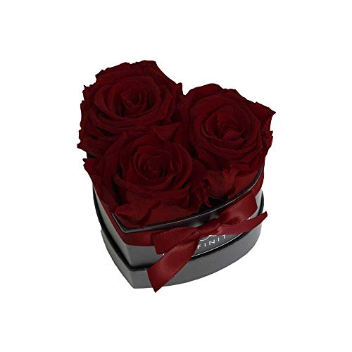 Infinity Flowerbox Small Heart Konservierte Rose, Burgundy von Infinity Flowerbox